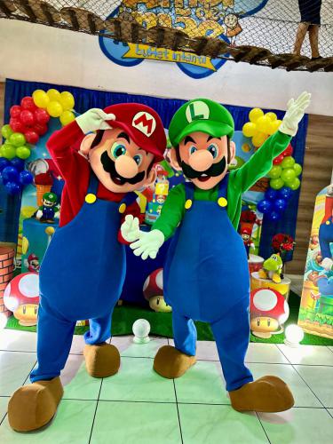 mario e luigi